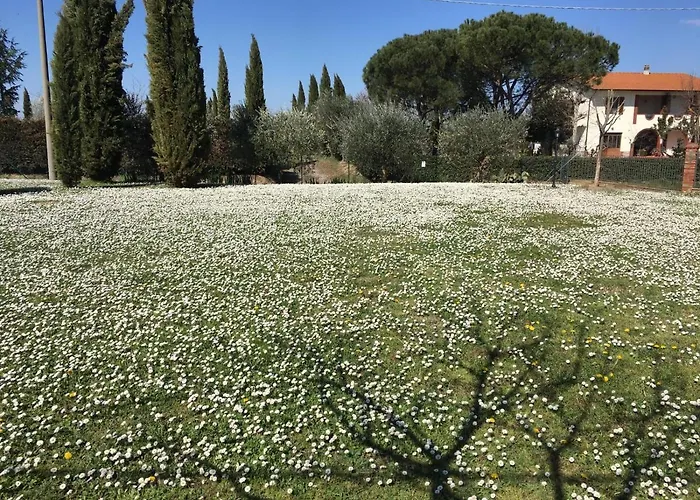 Casa Dei Tigli Ferienhaus Cortona